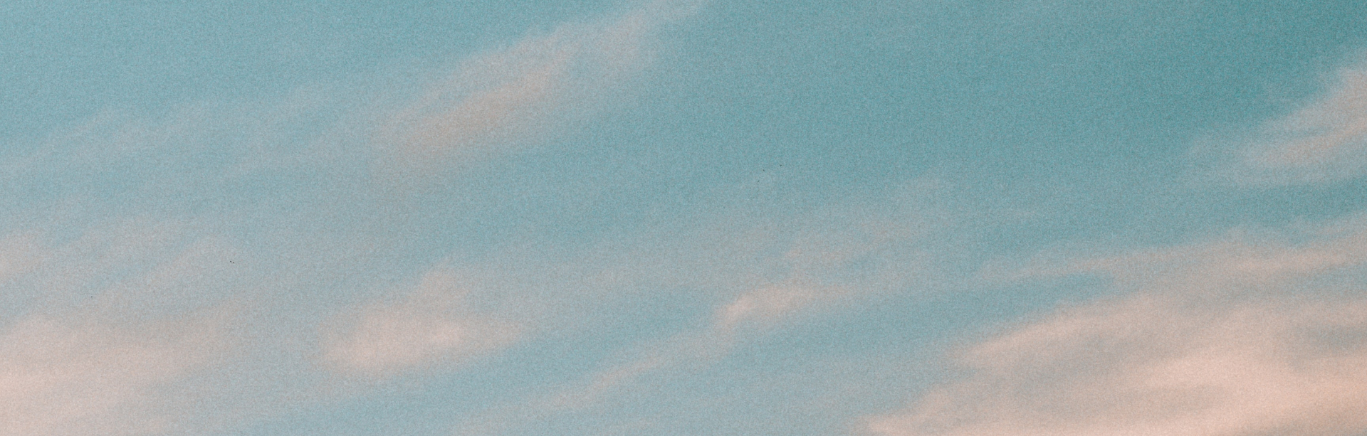 banner image